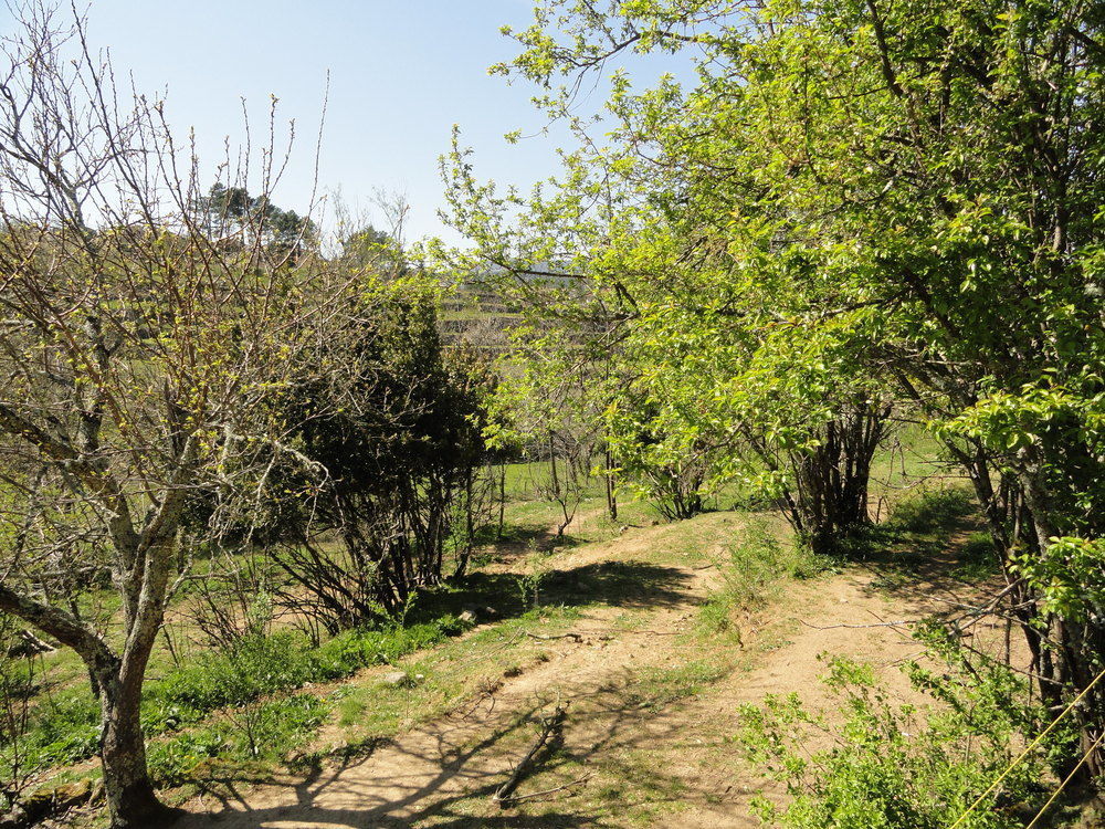 Chambre D'Hotes Au Creux Du Chambon جوييوس المظهر الخارجي الصورة