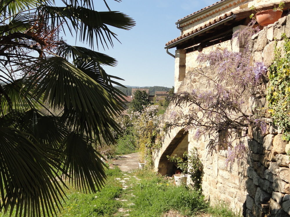 Chambre D'Hotes Au Creux Du Chambon جوييوس المظهر الخارجي الصورة