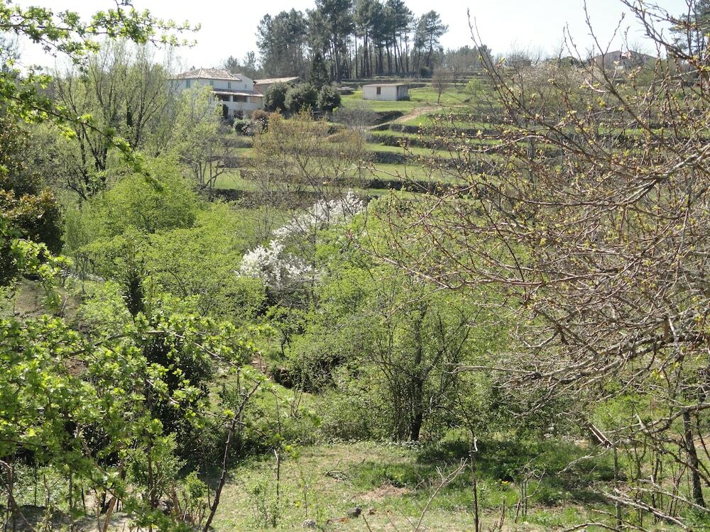 Chambre D'Hotes Au Creux Du Chambon جوييوس المظهر الخارجي الصورة